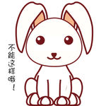 动态兔