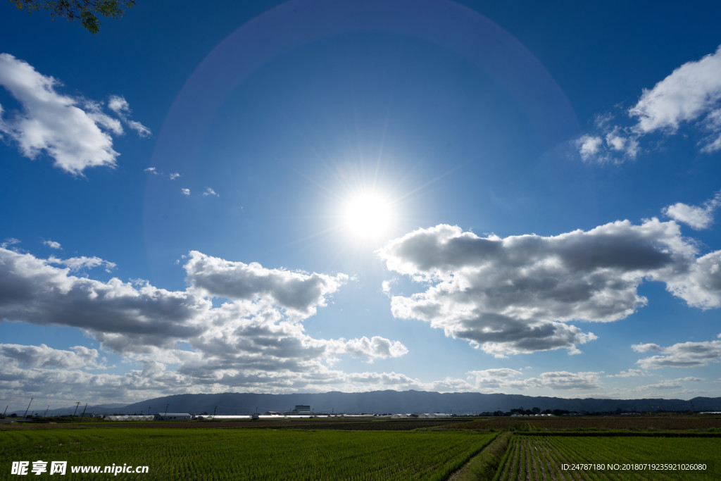 天空白玉太阳田野