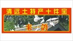 来一鸽