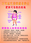 肥胖可导致的疾病