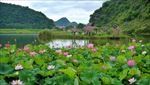 青丘圣地