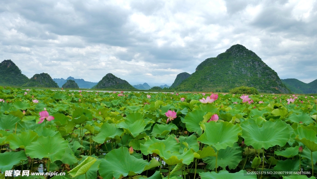 青丘圣地