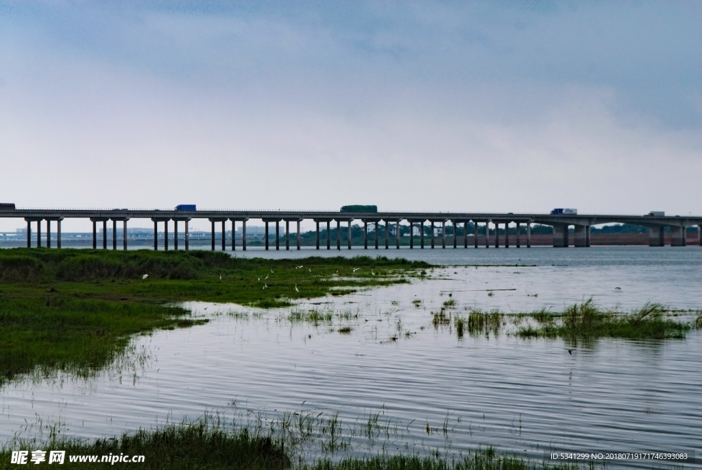 府河湿地上跨河大桥