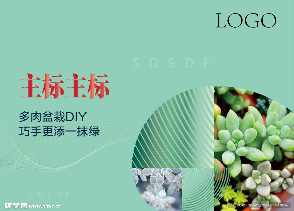 多肉活动