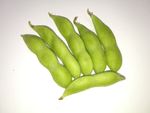 连荚黄豆