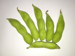 连荚黄豆