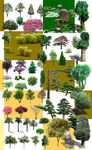 园林绿化素材(树)图片