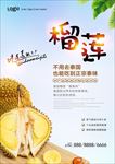 榴莲