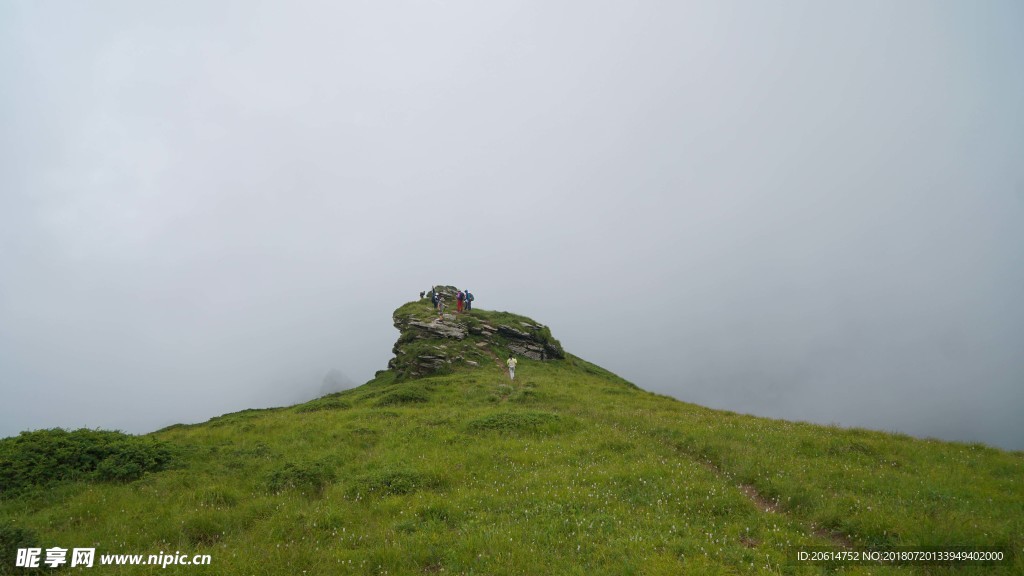 绿色草地美景