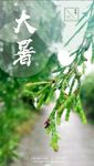 大暑