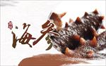 海参宣传画