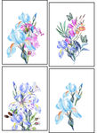 花卉装饰画
