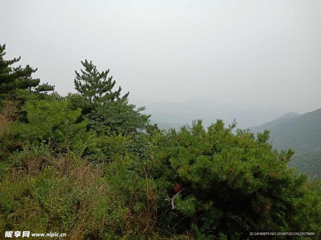 翠枫山摄影图__自然风景_自然景观_摄影图库_昵图网nipic.com