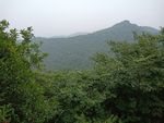 翠枫山