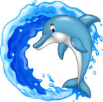 海豚