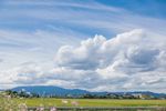 田园风景蓝天白云日本田园