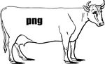 牛 牛线条图 png免抠