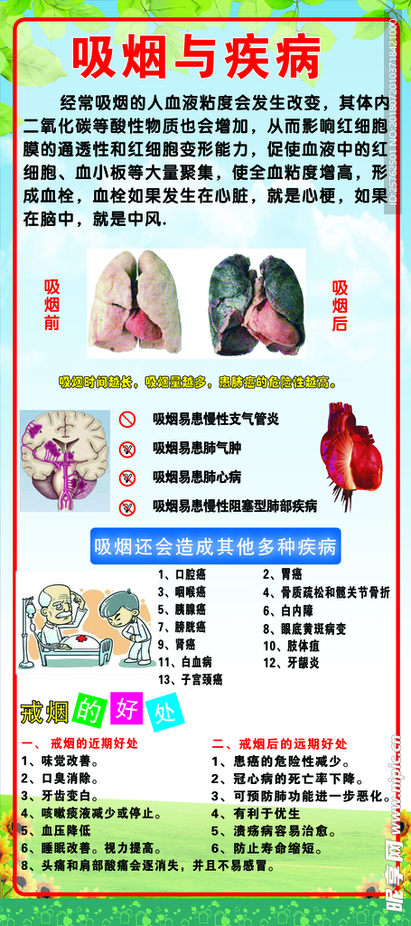 吸烟与疾病