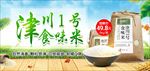 清新风景背景谷物大米促销海报