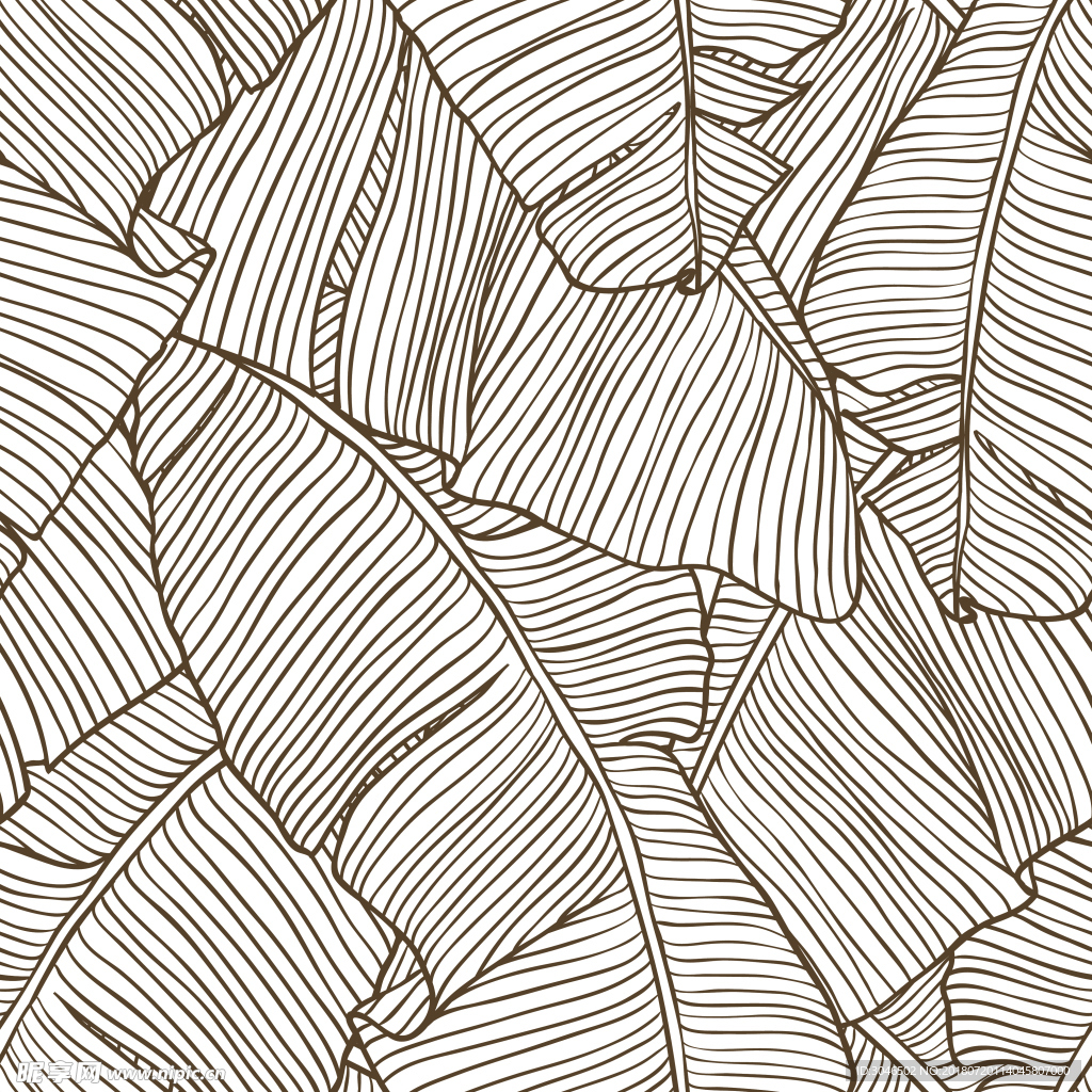 棕桐树叶纹理叶子图案背景