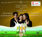 金典牛奶海报