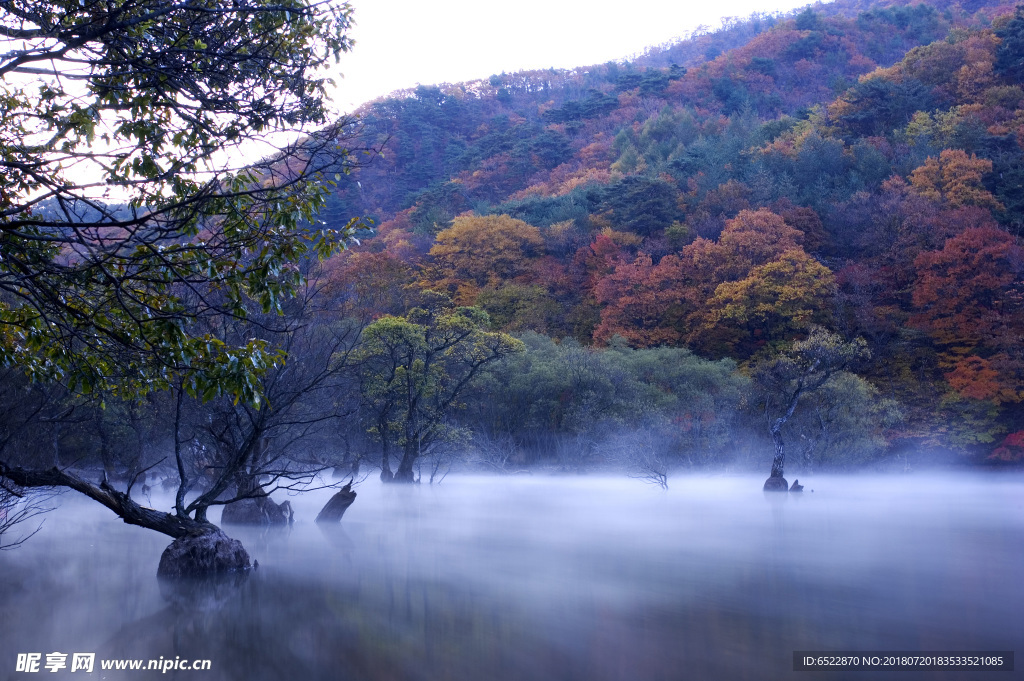 秋天景色 山林秋色