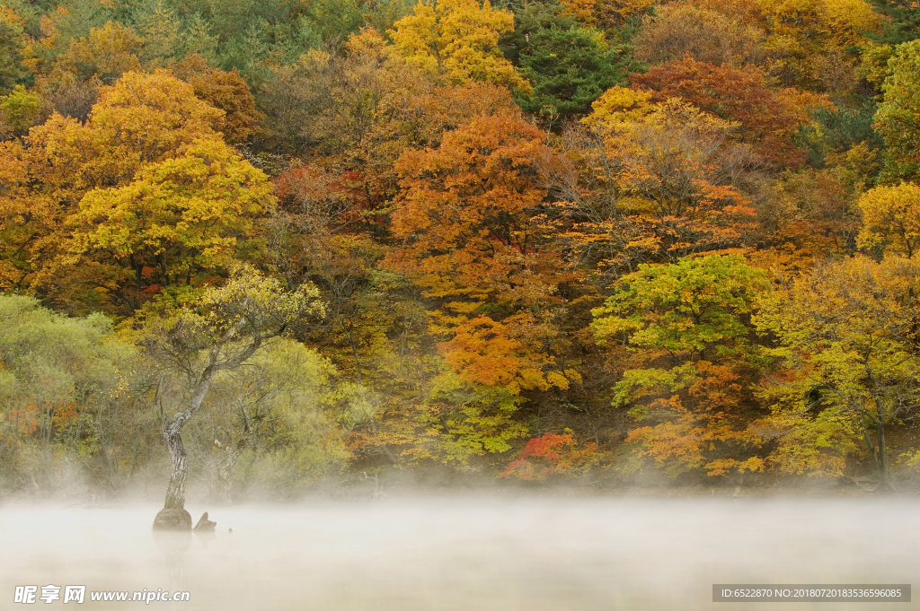 秋天景色 山林秋色