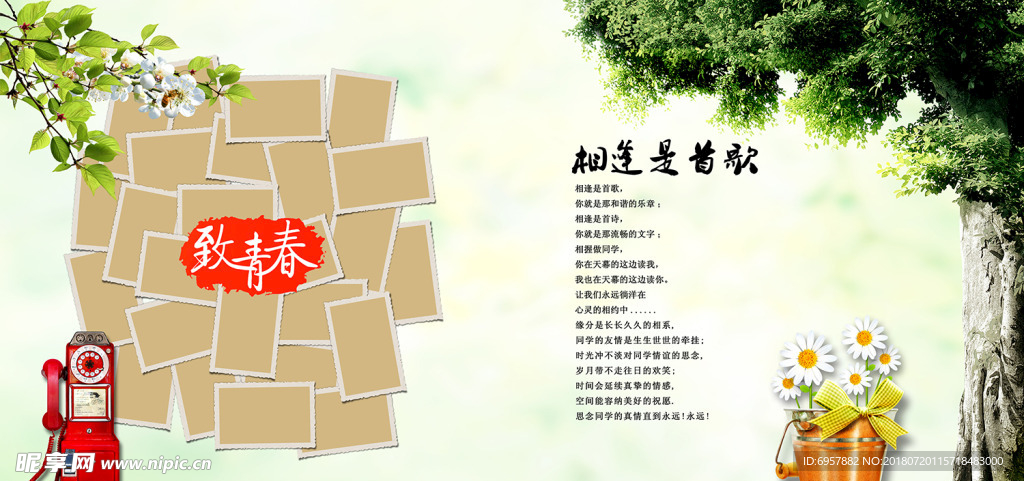 同学录相册排版