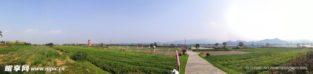 草原