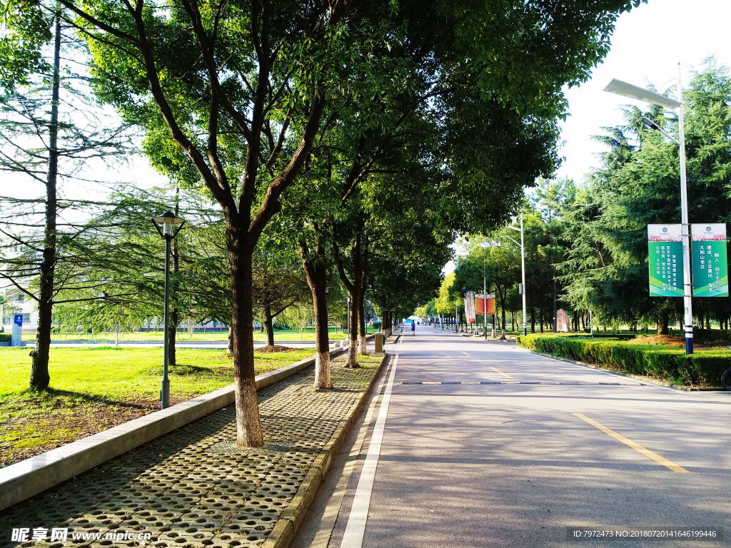 校园道路