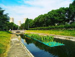校园景观