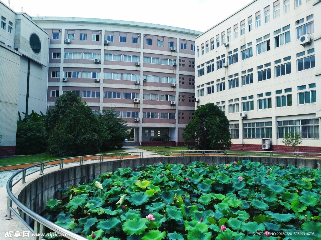 校园景观
