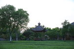 草坪