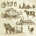 现代农业 关注农业发展 和谐