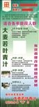 大麦青汁 蚂蚁农场 展架