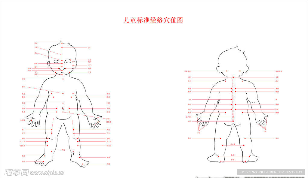 儿童标准经络图