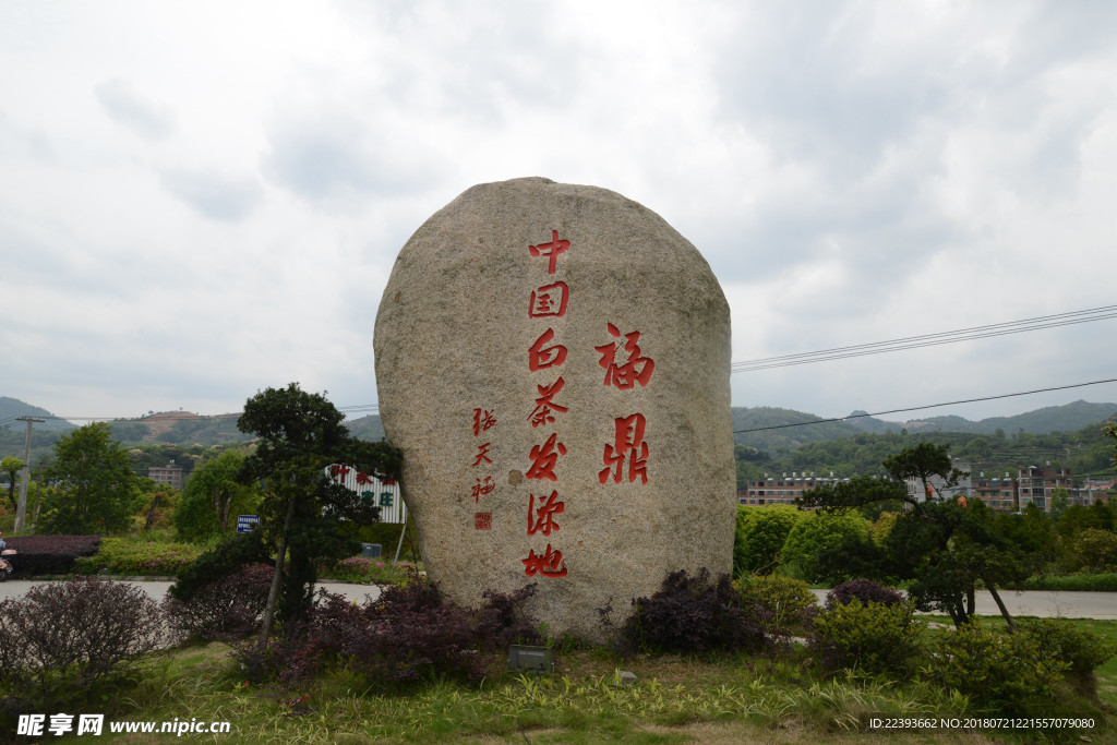 福鼎白茶 原产地 发源地石碑