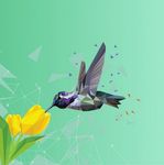 3D几何花鸟