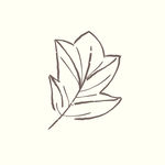 矢量手绘植物