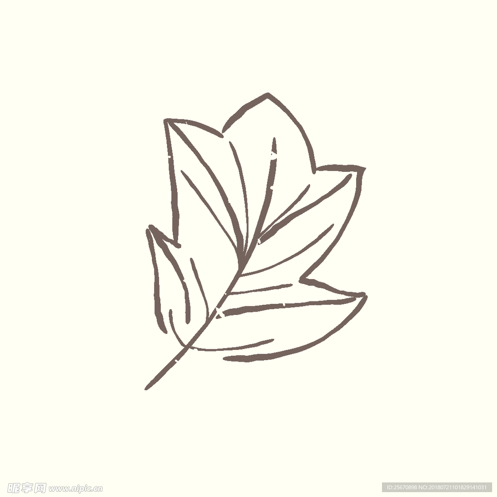矢量手绘植物