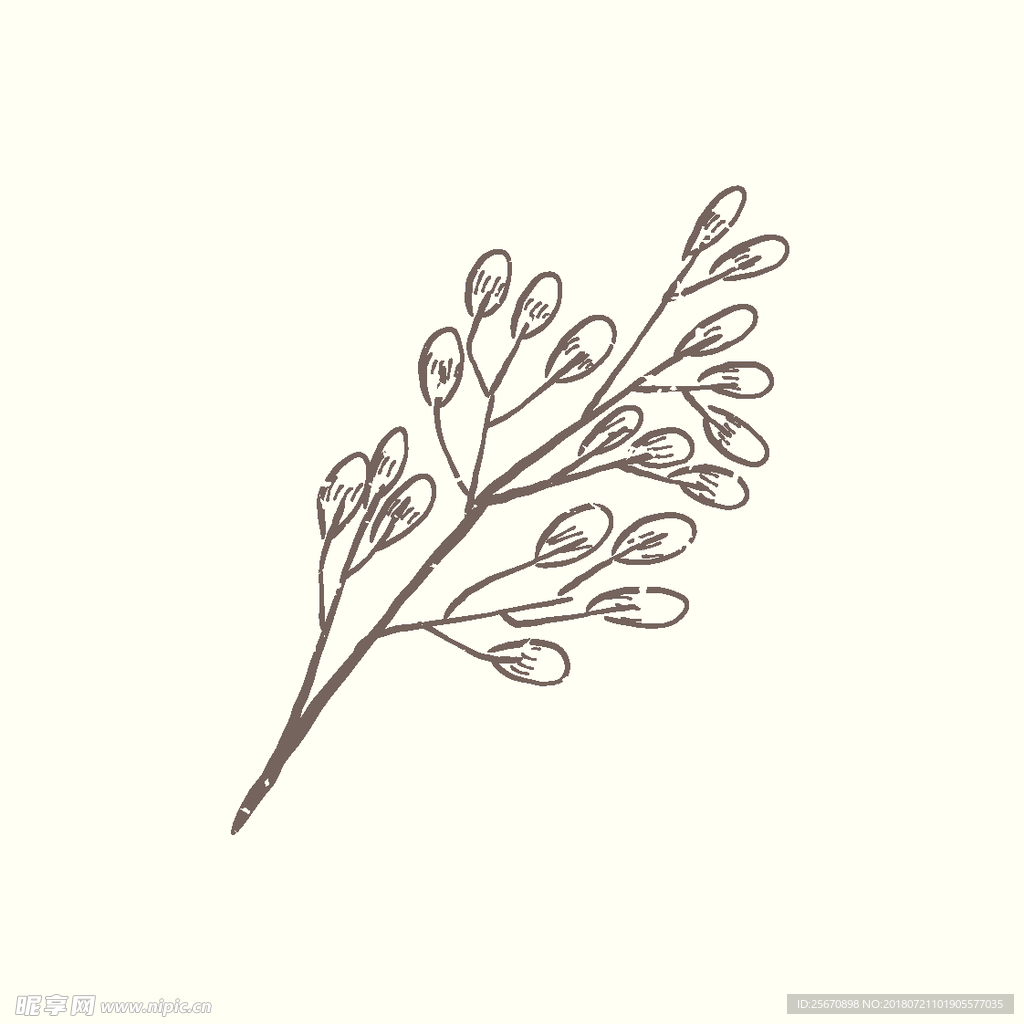 矢量手绘植物