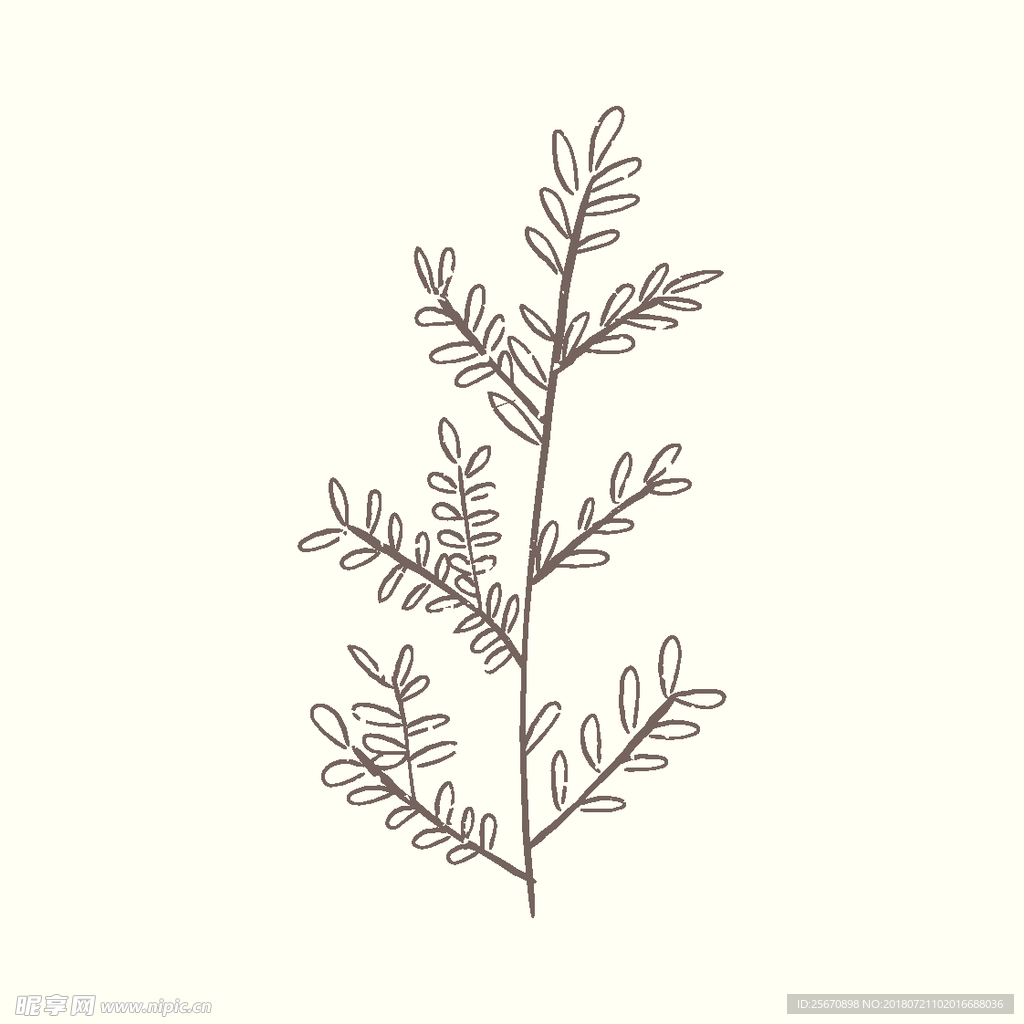 矢量手绘植物
