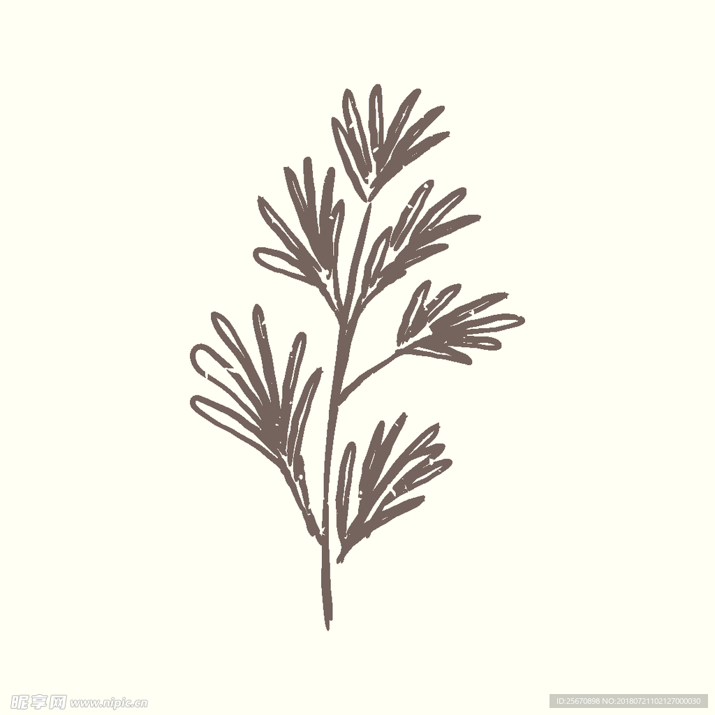 矢量手绘植物