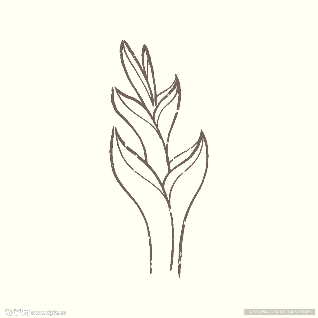 矢量手绘植物