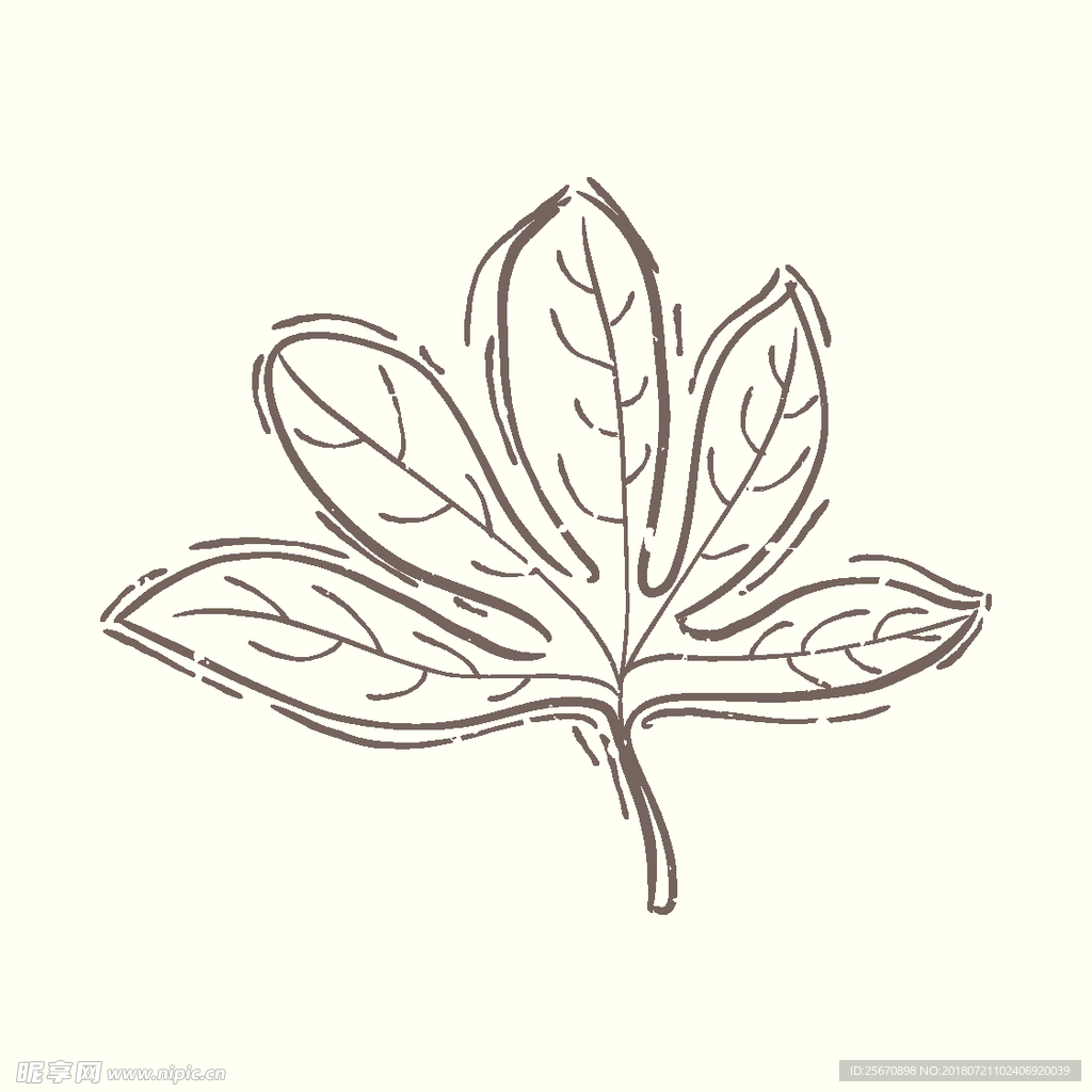 矢量手绘植物