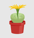 绿植图片
