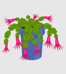 绿植图片