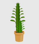 绿植图片