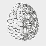 人体解剖学背景