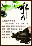 水疗  养生 洗发 头部护理